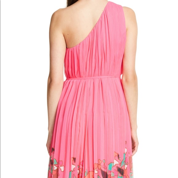 Ted Baker Pinata Floral Pleated Dress - Picture 4 of 4